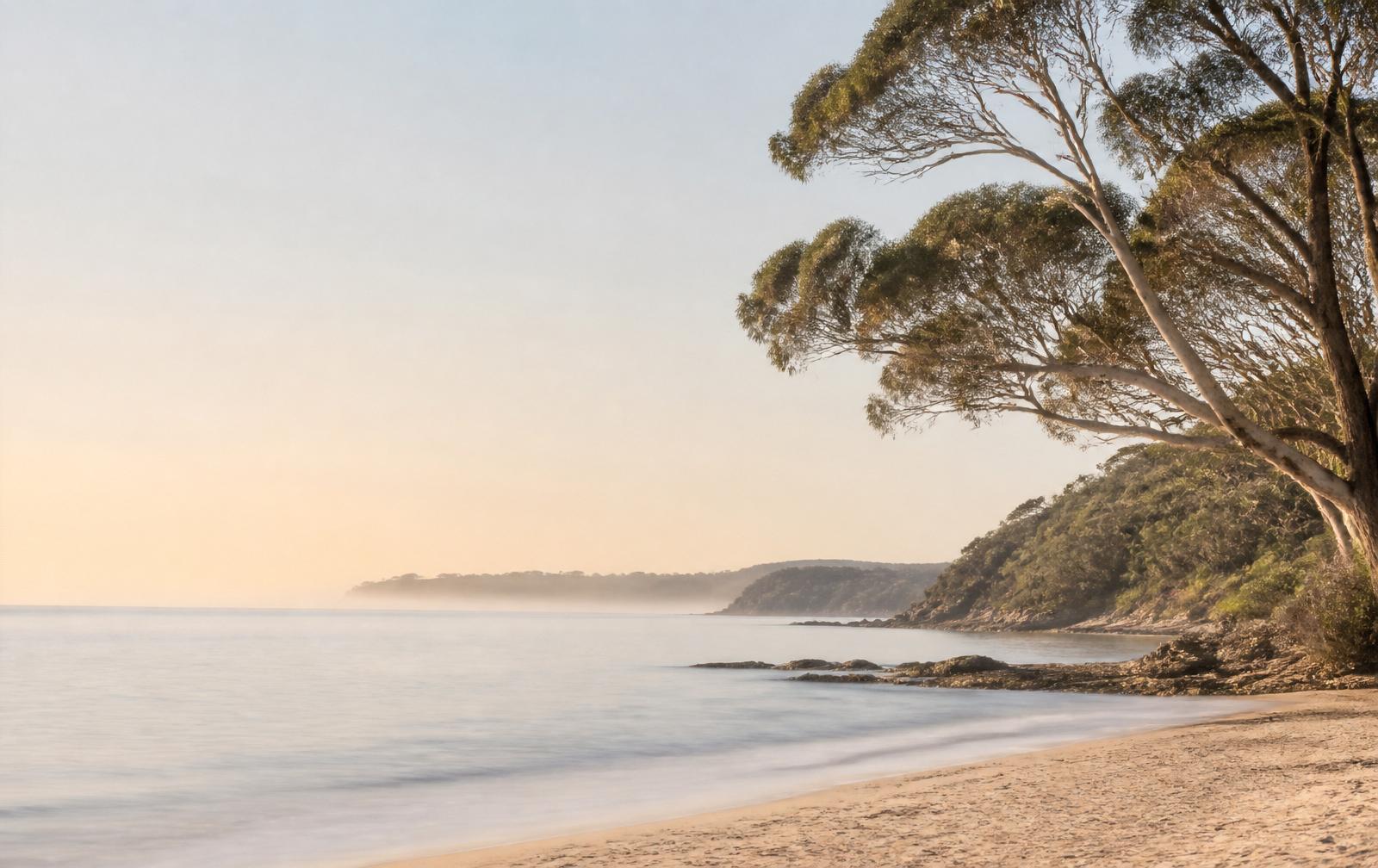 Still water and gum trees at dawn on the South Australian coast